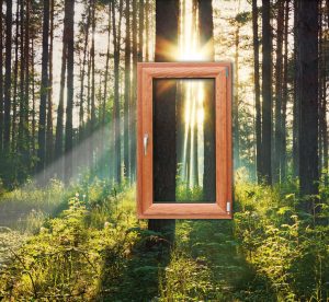 finestra alulen su uno sfondo di alberi